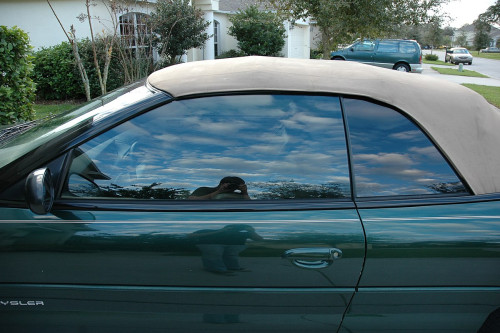 The Importance of Car and Home Shading in Kuwait